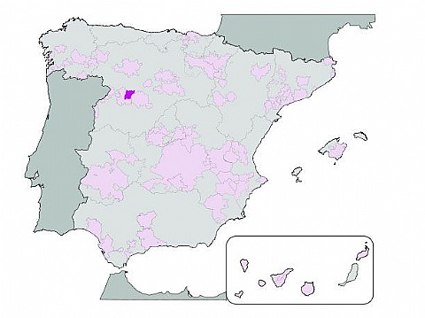 D.O. Toro - España